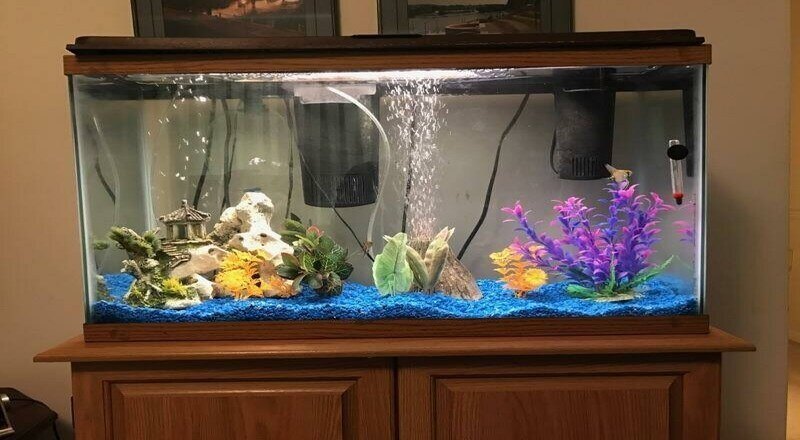 an aquarium placed on a wooden top before cleaning